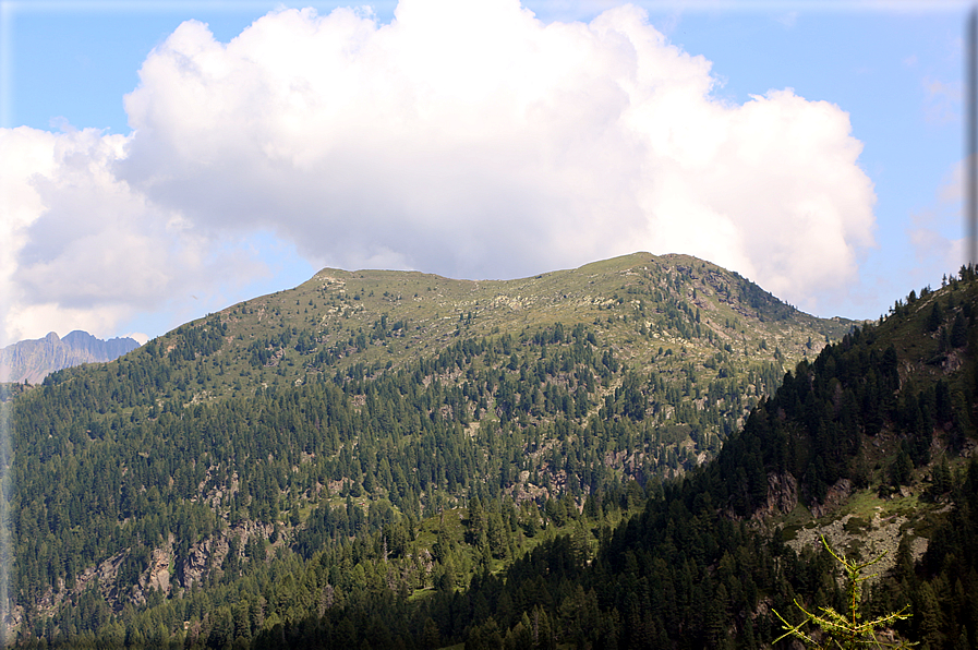 foto Forcella delle Tavarade